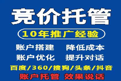 竞价广告的智能投放：XX平台的创新实践